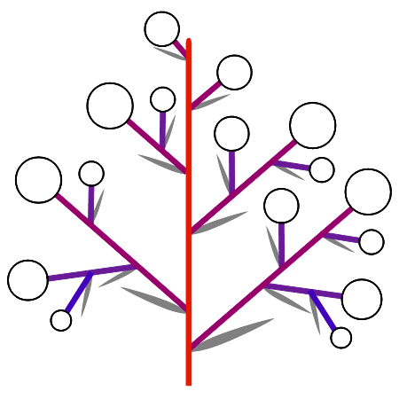 複合花序の例の模式図